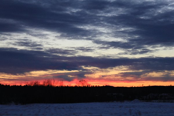 New Camera Dec2010 222